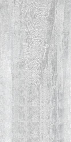 DALLE FOREST - Carrelage Extérieur 30x120 ép.2 cm - SILVER ( 0,72m² )