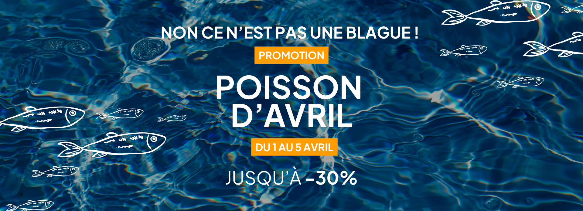 OFFRES POISSON D'AVRIL